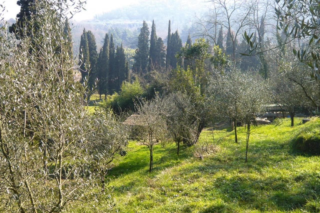 Holiday home Casa Carla, Ripafratta Esterno foto